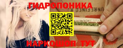 бошки Долгопрудный