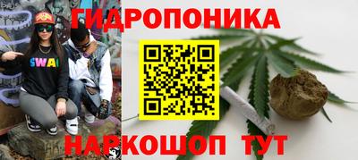 бошки Долгопрудный