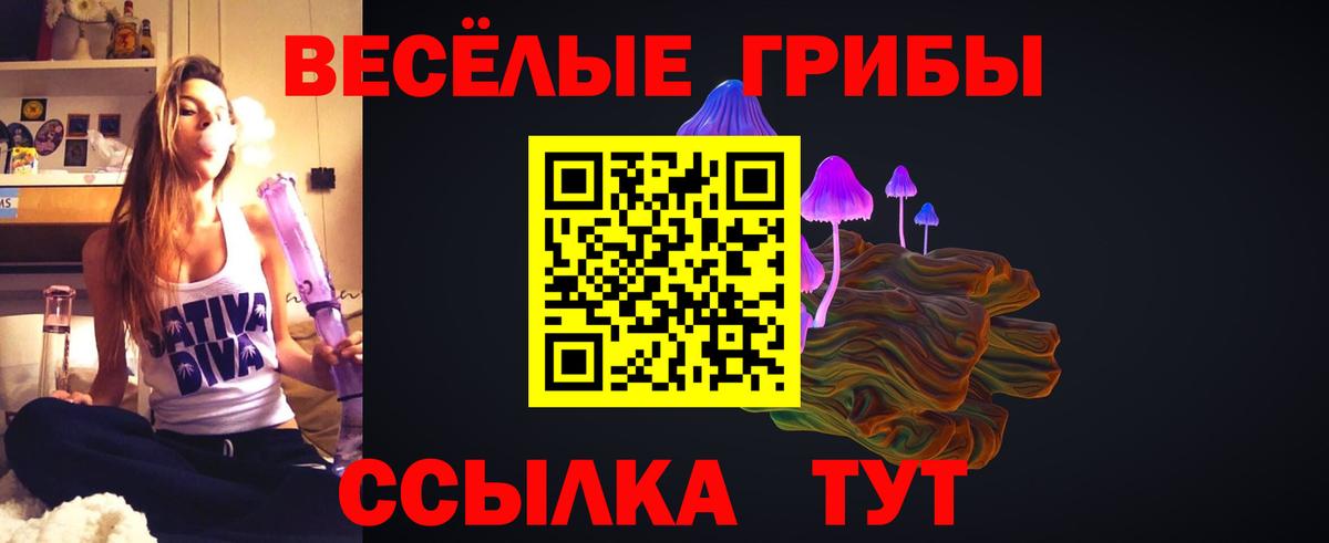 Волжский  Псилоцибиновые грибы мицелий  Вход с VPN 